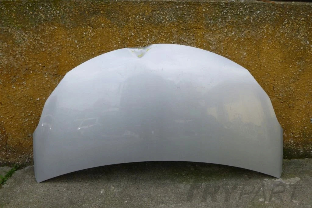 SUZUKI ALTO 09- hood