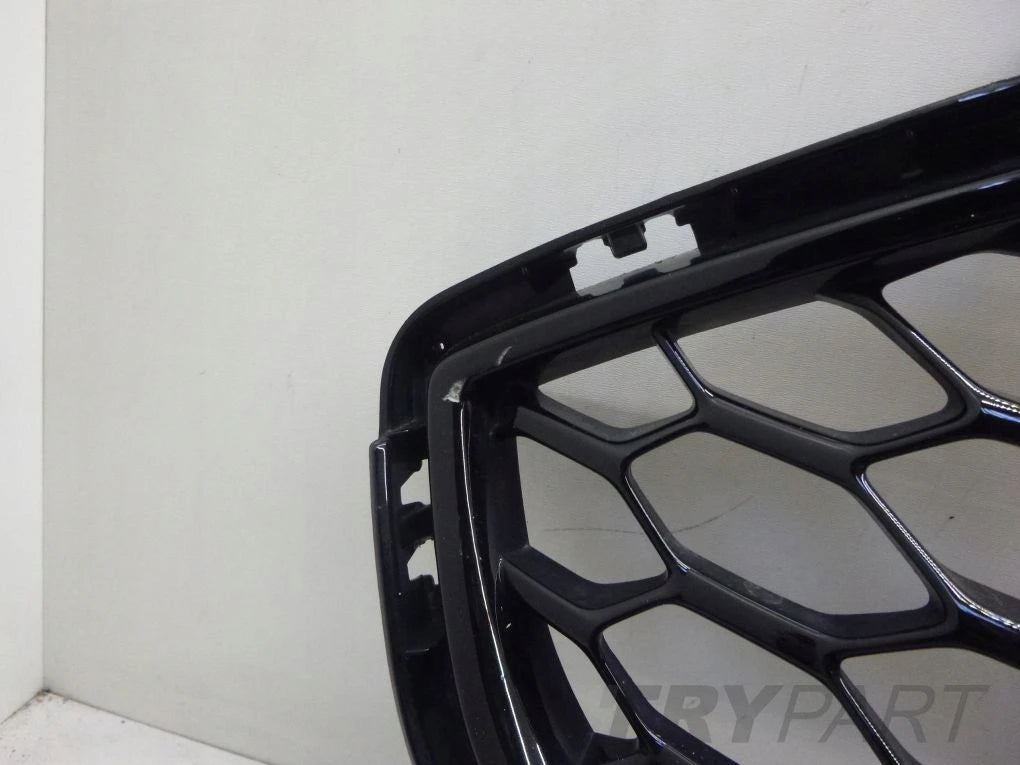 FORD EDGE MK2 II ST 19- grille