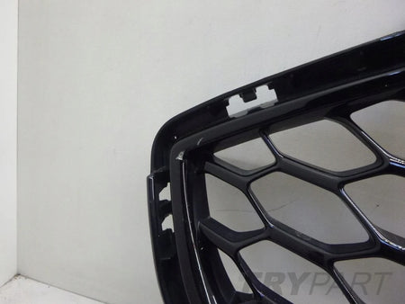 FORD EDGE MK2 II ST 19- grille
