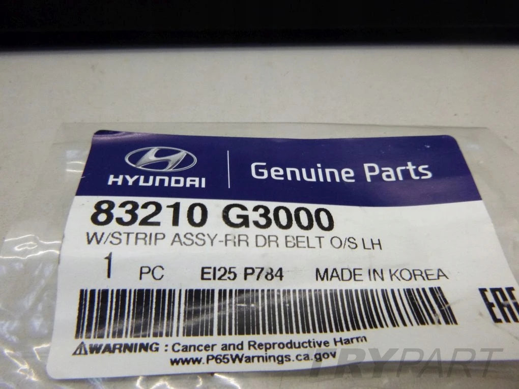HYUNDAI ELANTRA 18- Rear Left Scraper Bar
