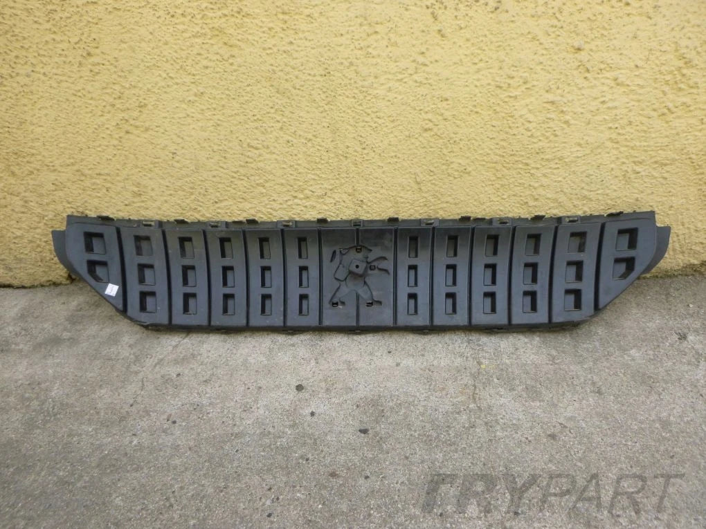 PEUGEOT EXPERT 17- grille catch