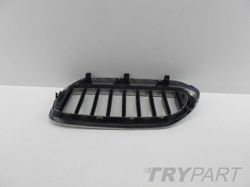 BMW 5 G30 G31 Right Kidney Grille