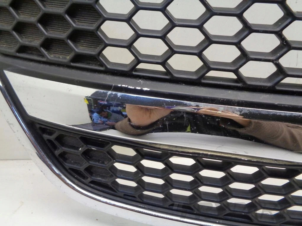 HYUNDAI H1 II 07- grill catcher