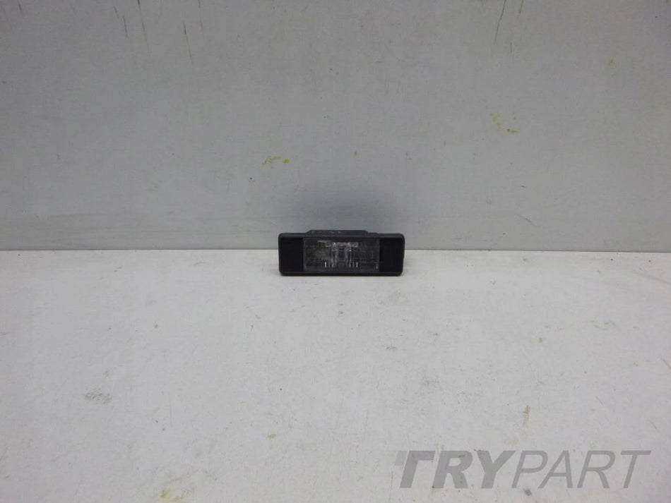 C4 PICASSO JUMPY License Plate Light