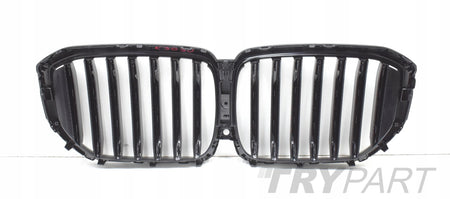 BMW G05 LIFT LCI Front Bumper Kidney Grille Grill, Genuine, New, Satin