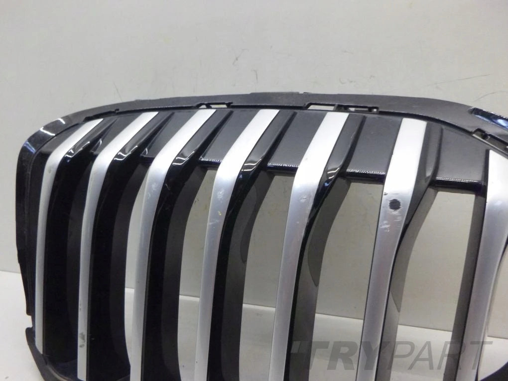 BMW 1 F40 Grille Kidney Left