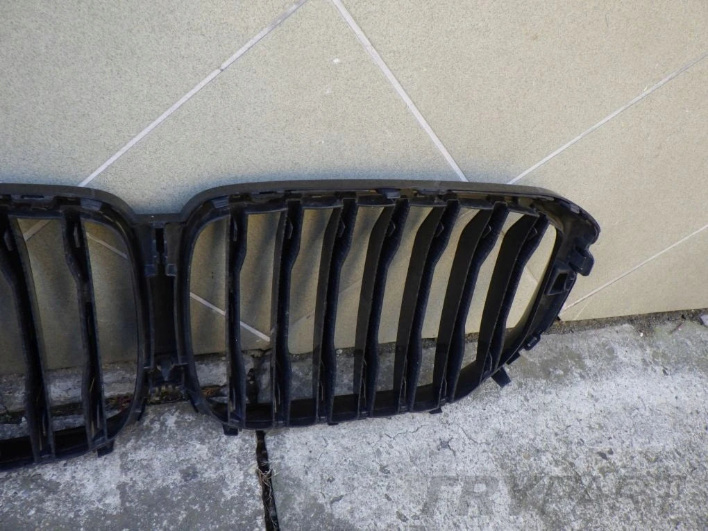 BMW X5 G05 X6 G06 Kidney Grille
