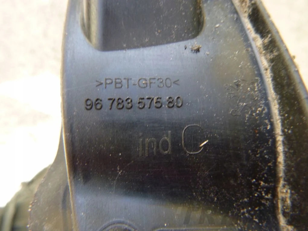 PEUGEOT 2008 Right Roof Rail