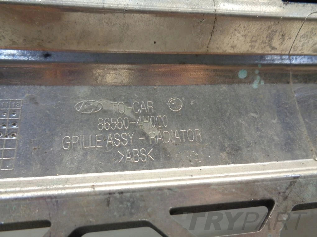 HYUNDAI H1 II 07- grill catcher