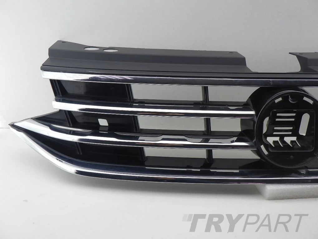 VW TIGUAN II 2 5NA LIFT 20- Grille Guard