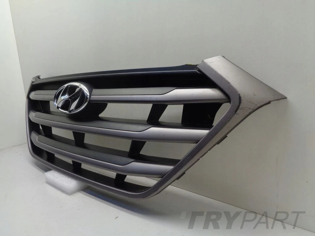 HYUNDAI TUCSON 3 III 15- grill catcher