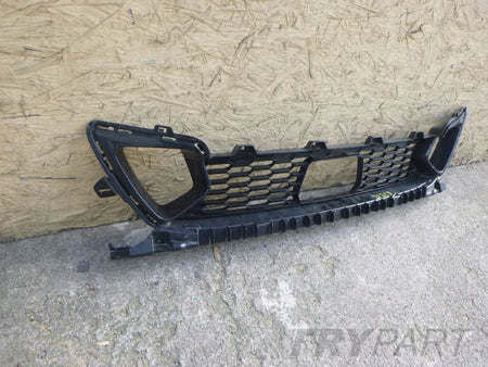BMW 2 F44 M Package Bumper Grille