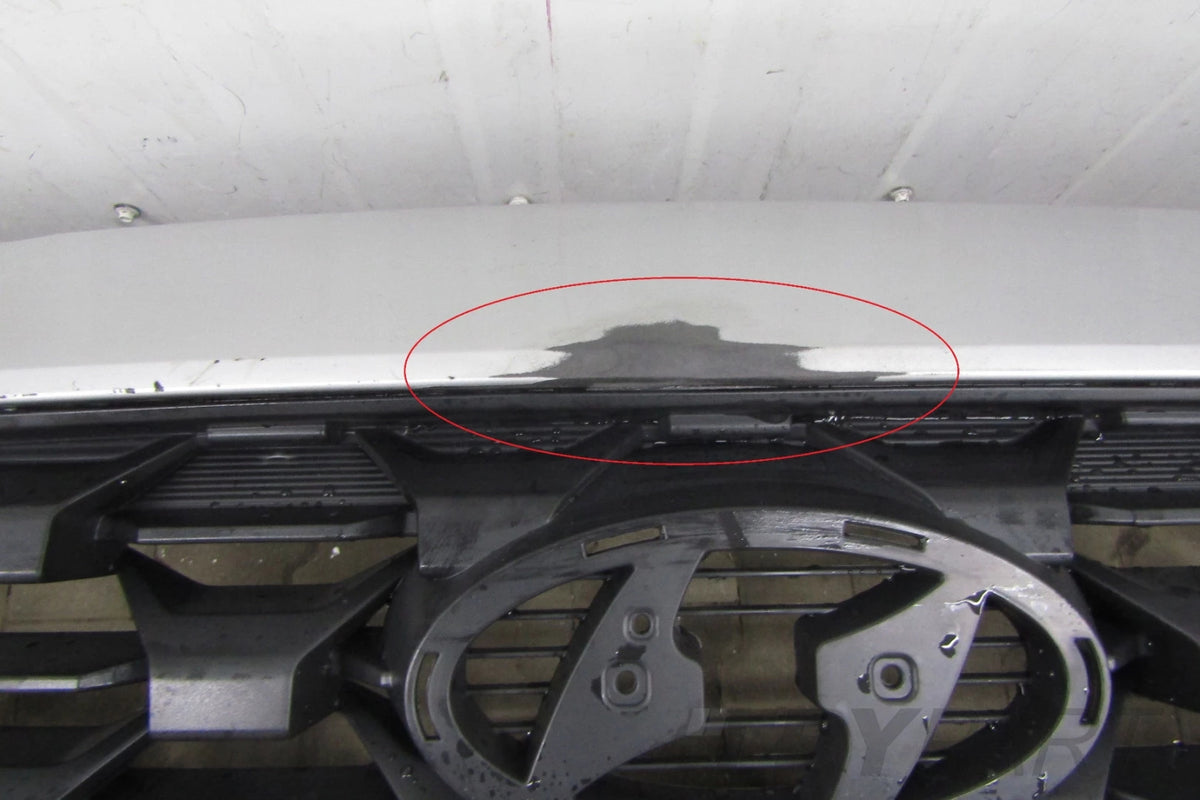 Front Bumper for HYUNDAI SANTA FE IV 4 LIFT 21-23