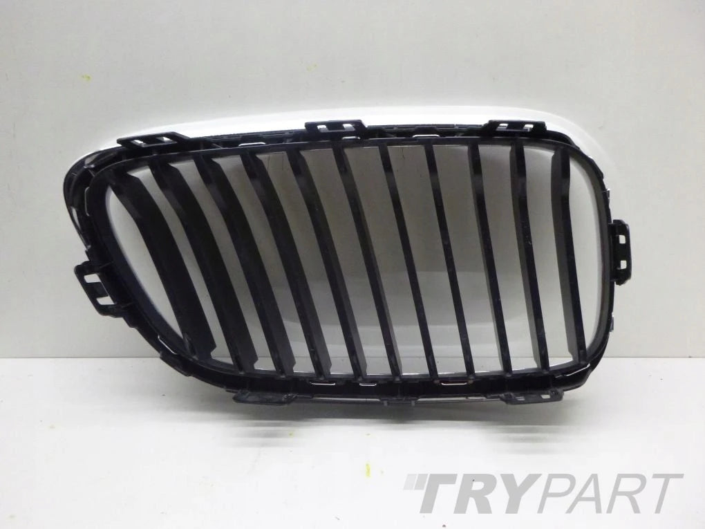 BMW F22 F23 Coupe Cabrio Left Right Kidney Grille
