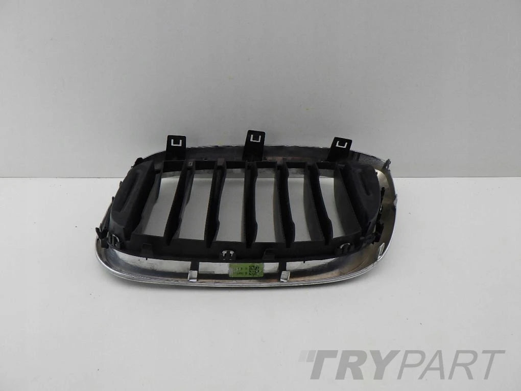 BMW X3 G01 X4 G02 right left kidney grill grille