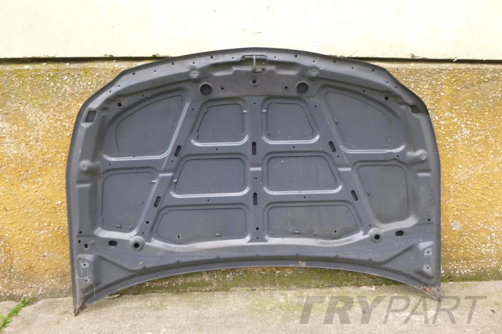 SUZUKI SX4 FIAT SEDICI 06- Hood