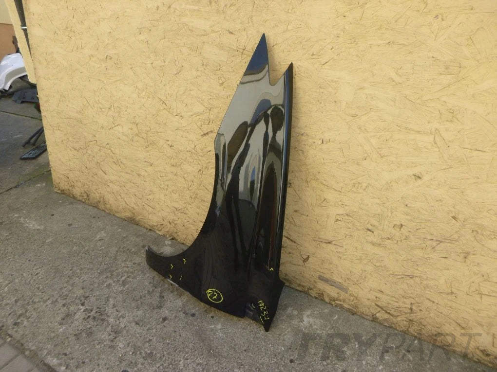 RENAULT LAGUNA III 07- front left fender