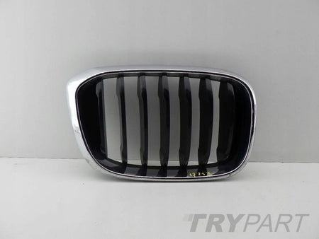 BMW X3 G01 X4 G02 right left kidney grill grille